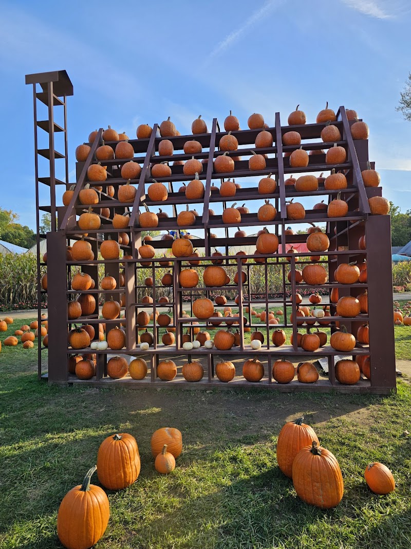 Albert H. Schmitt Family Farms on Bagatelle Road! photo 2