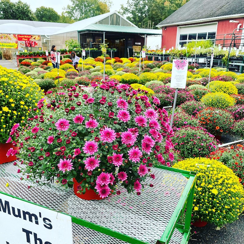 Albert H. Schmitt Family Farms on Bagatelle Road! photo 5