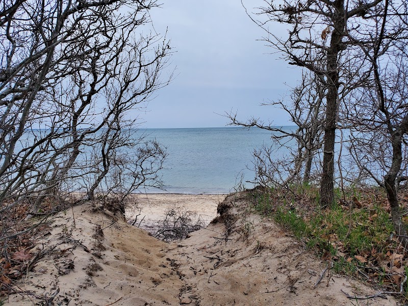 Albert's Landing photo 3