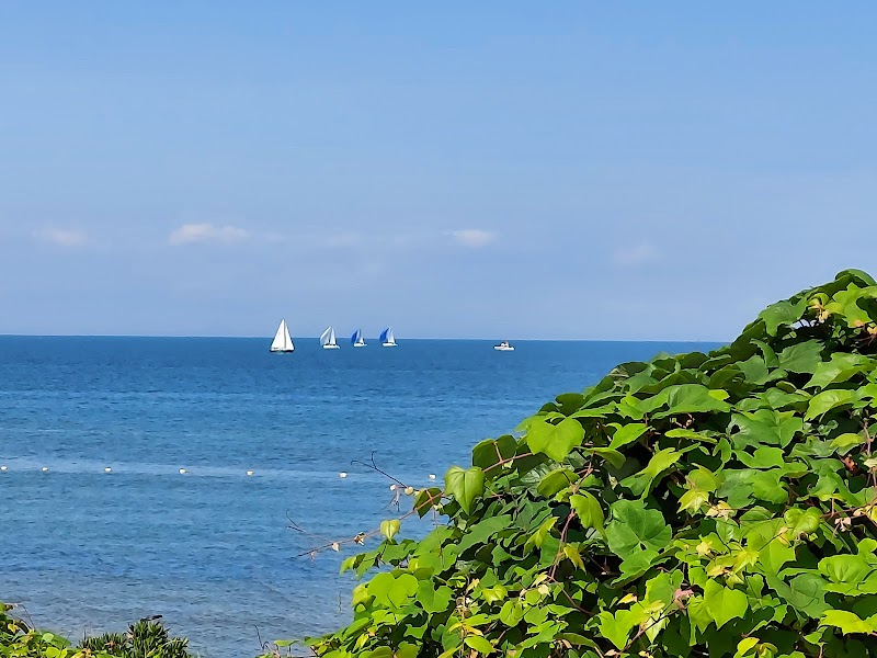 Albert's Landing photo 4