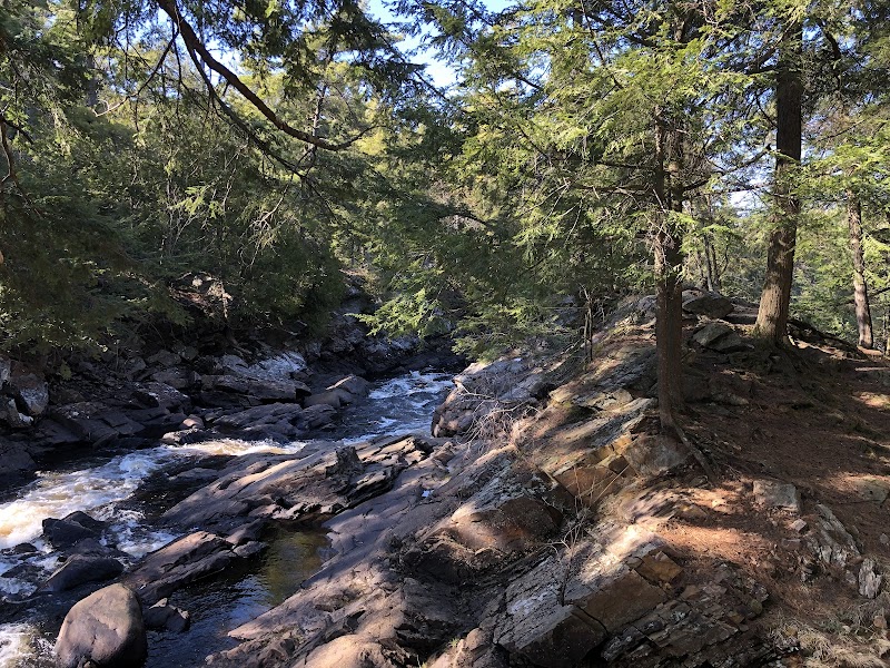 Allen Falls Trail photo 2