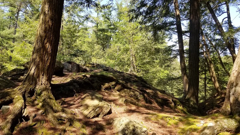 Allen Falls Trail photo 3