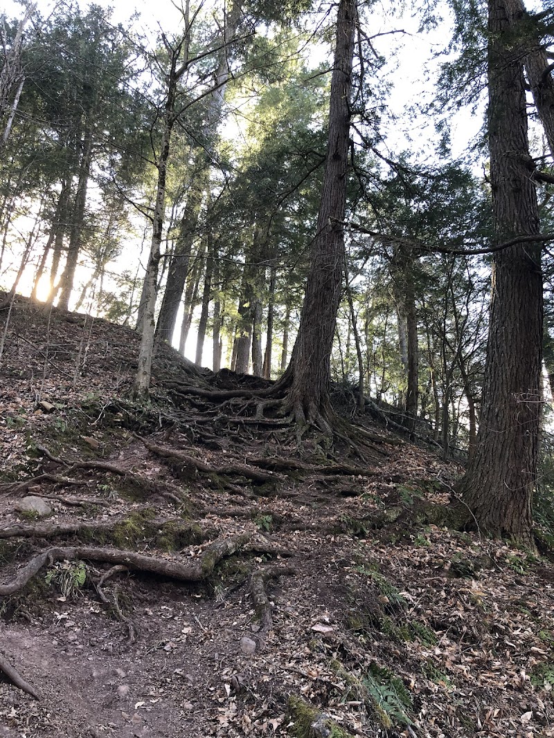 Allen Falls Trail photo 4