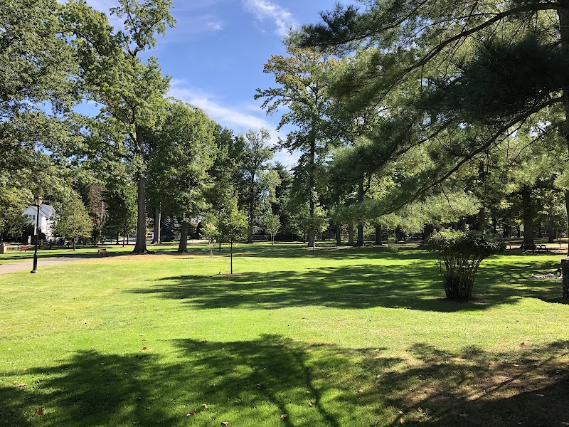 Allenwood Park photo 2