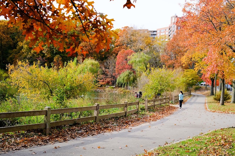 Alley Pond Park photo 1