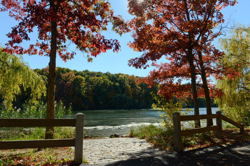 Alley Pond Park photo 3