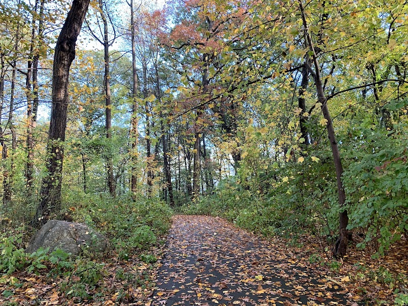 Alley Pond Park photo 4