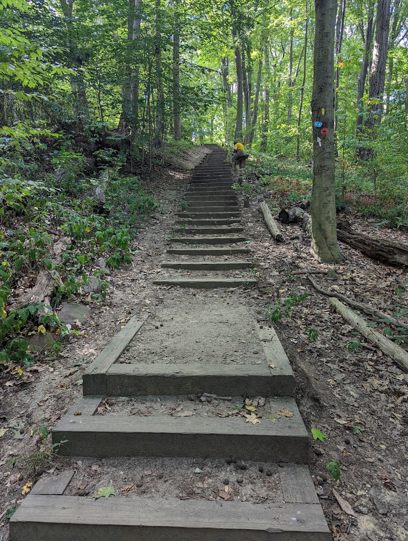 Alley Pond Park photo 5