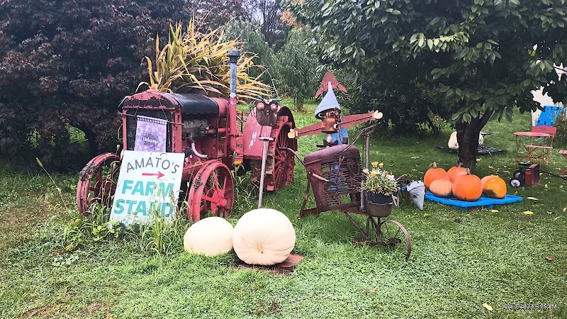 Amato Farm photo 2