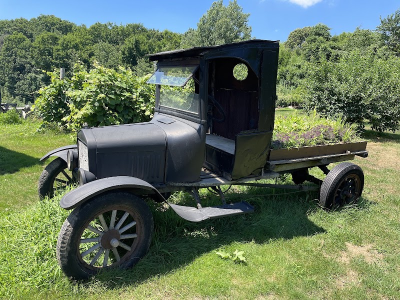 Amato Farm photo 3