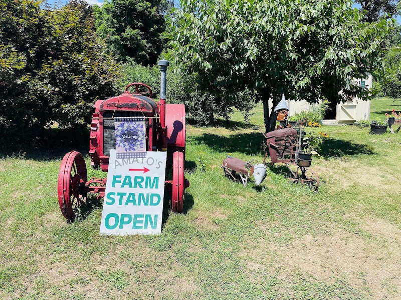 Amato Farm photo 4