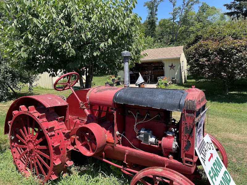 Amato Farm photo 5