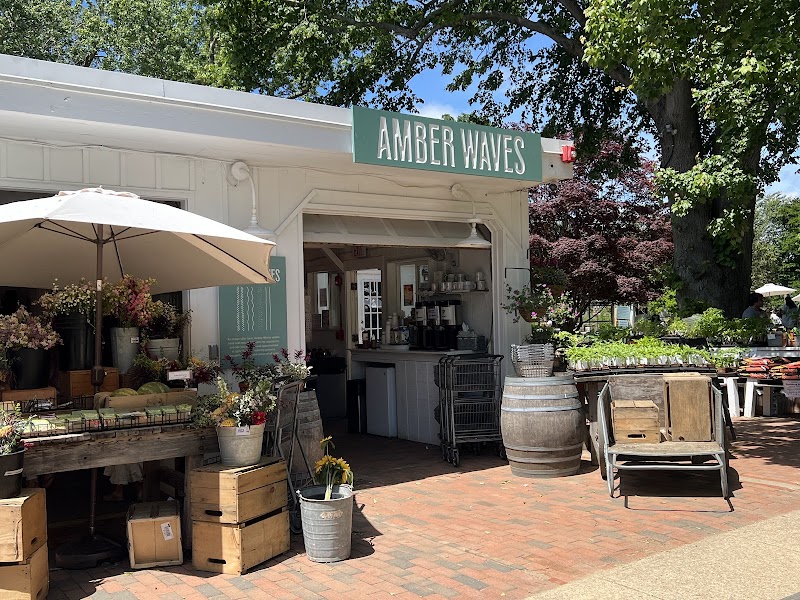 Amber Waves Farm, Market & Cafe photo 4