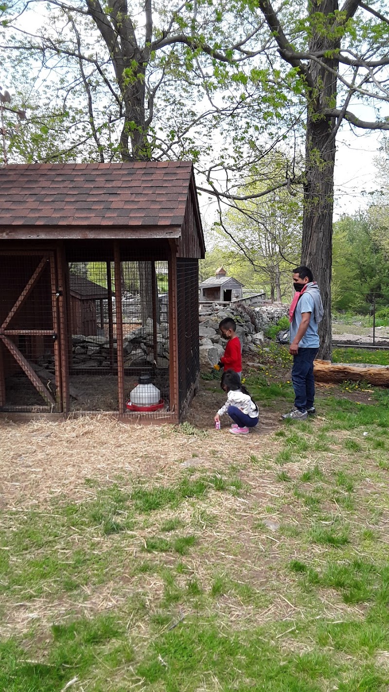 Ambler Farm photo 2