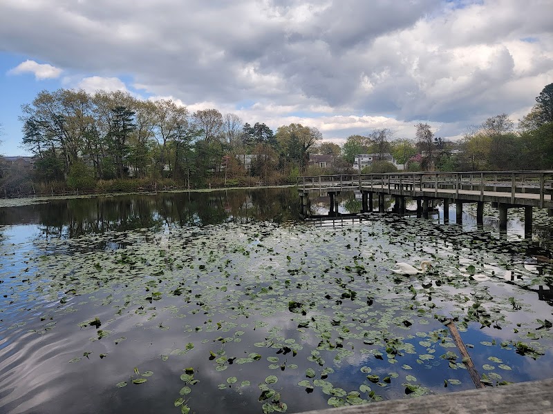 Andreoli Park photo 3