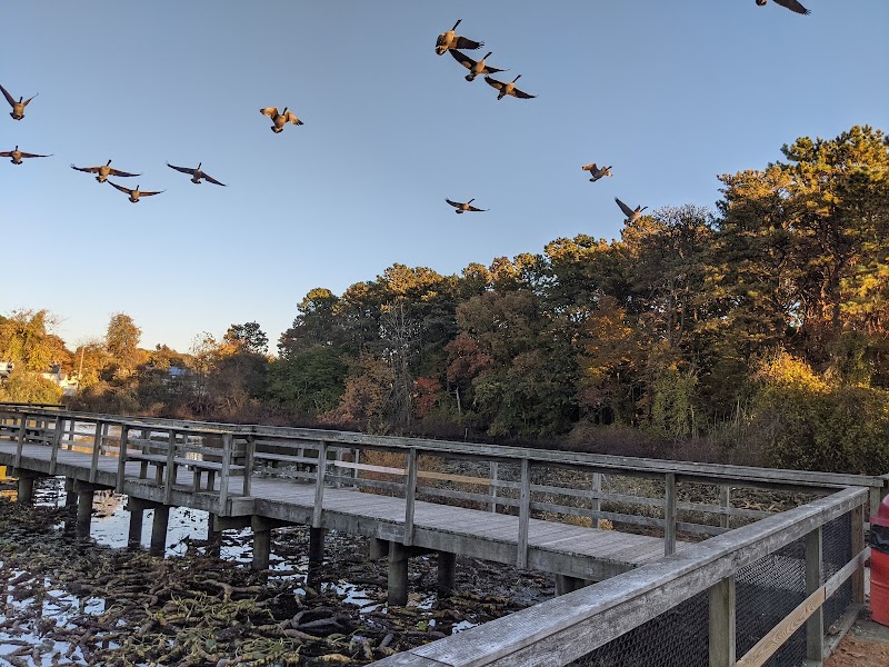 Andreoli Park photo 4