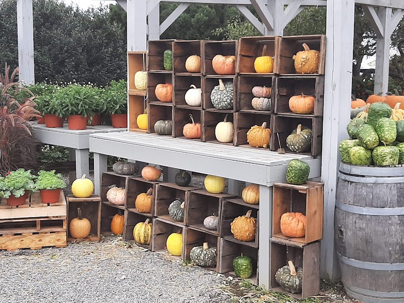 Andrews Family Farm photo 3
