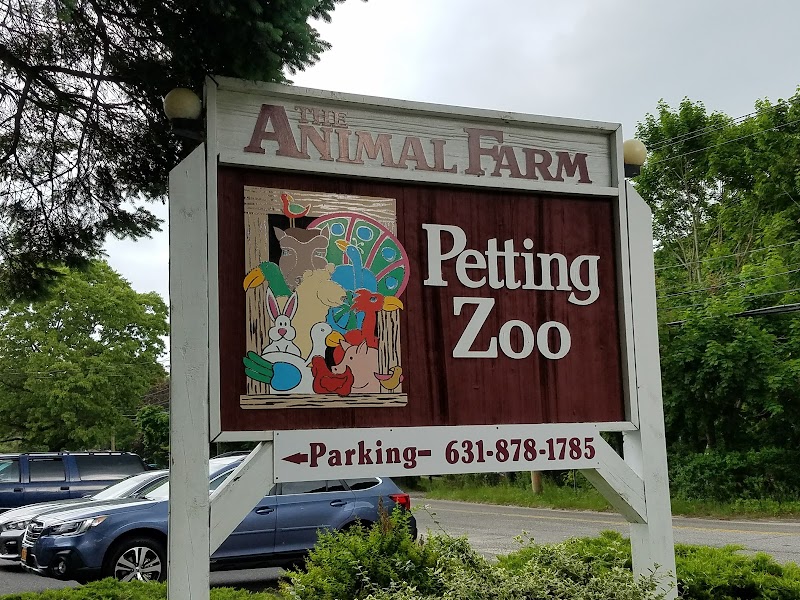 Animal Farm Petting Zoo photo 2