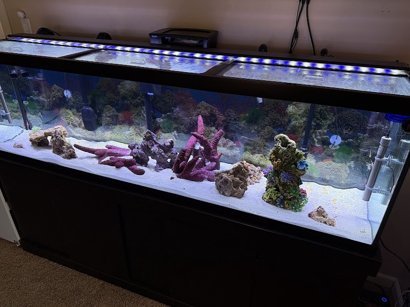 Aqua Hut Inc photo 2