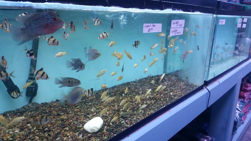 Aqua Hut Inc photo 3