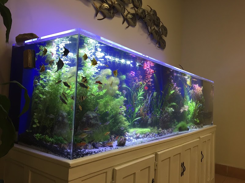 Aqua Hut Inc photo 4