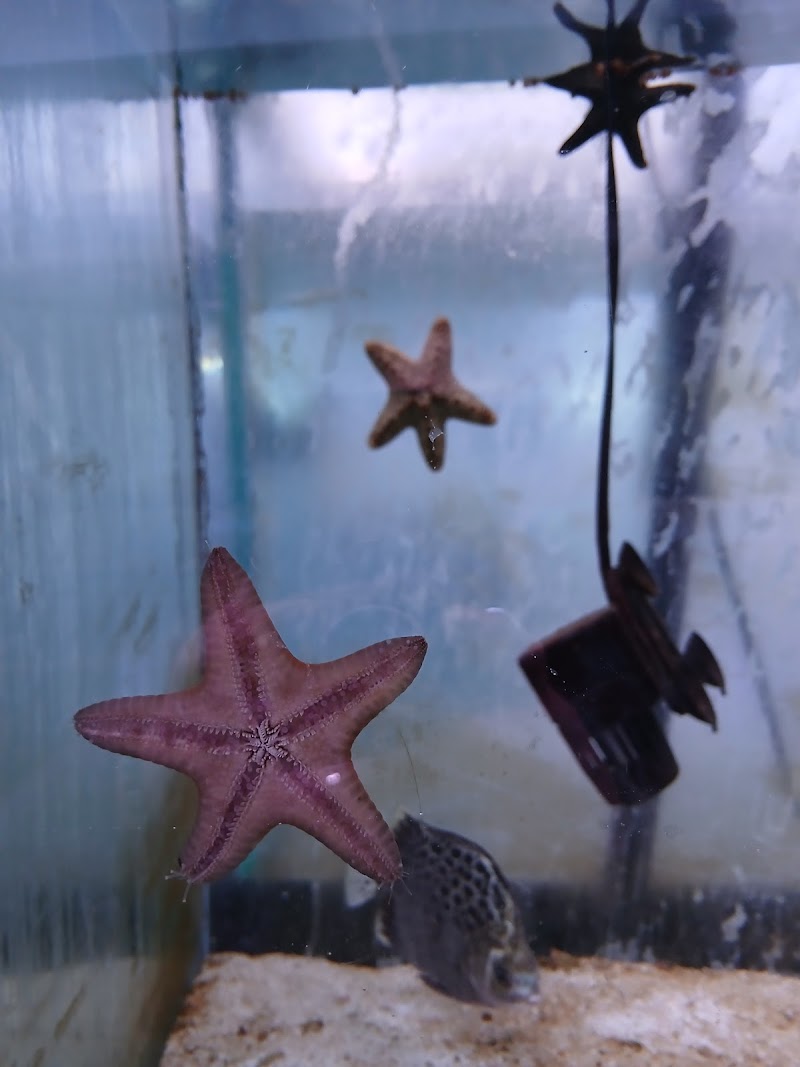 Aqua Hut Inc photo 5