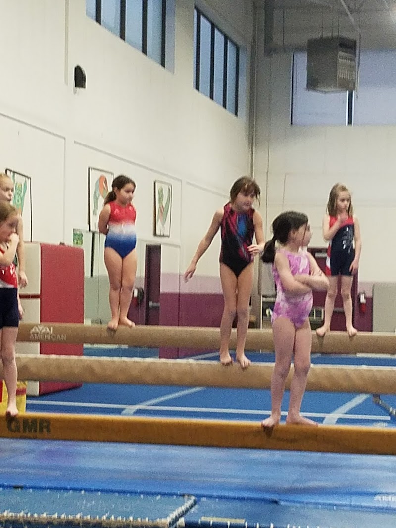 Arena Gymnastics Inc photo 2