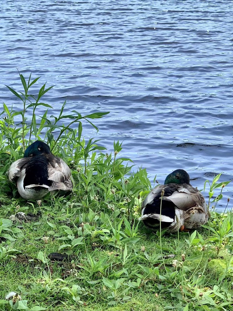 Argyle Lake Park photo 5