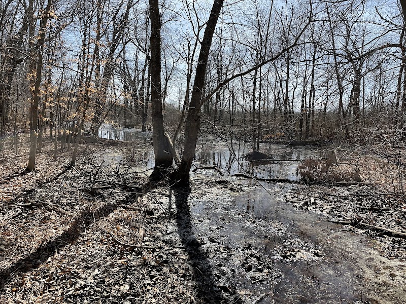 Arshamomaque Preserve photo 2