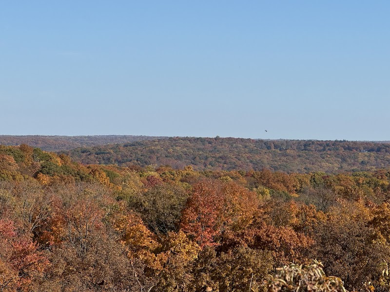 Arthur W. Butler Memorial Sanctuary photo 2