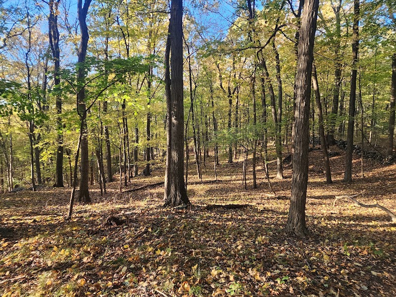 Arthur W. Butler Memorial Sanctuary photo 4
