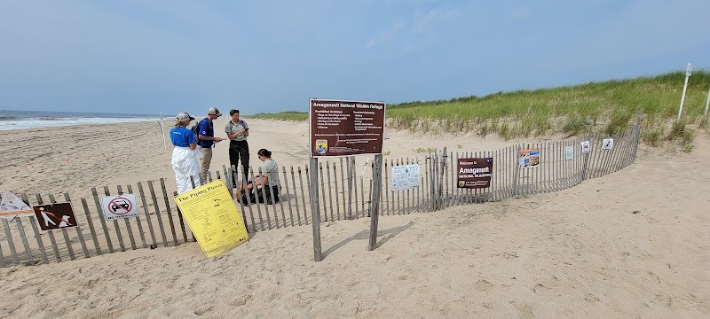 Atlantic Avenue Beach photo 4