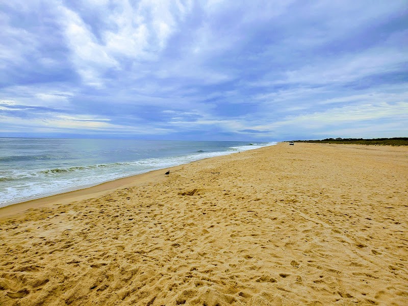 Atlantic Avenue Town Park photo 2