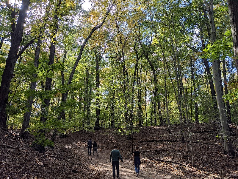 Avalon Hiking Trails photo 3