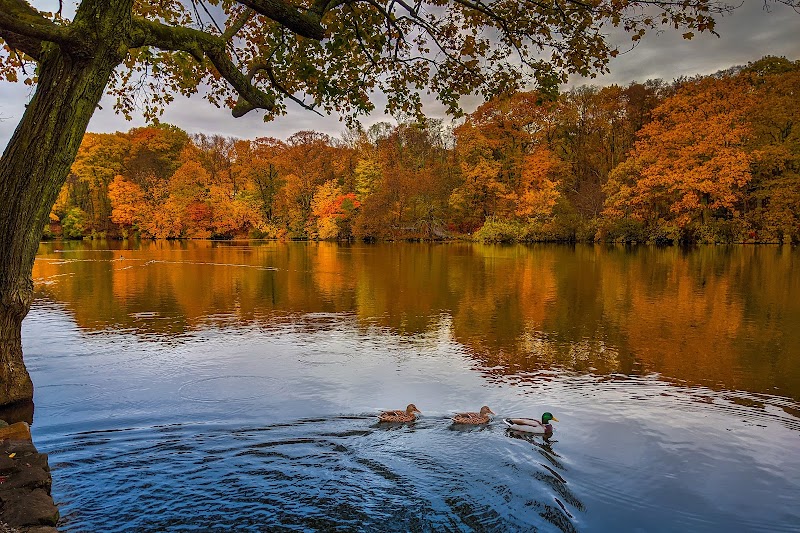Avalon Nature Preserve photo 4