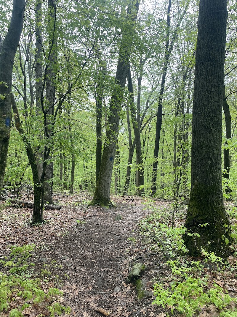 Babcock Preserve photo 3