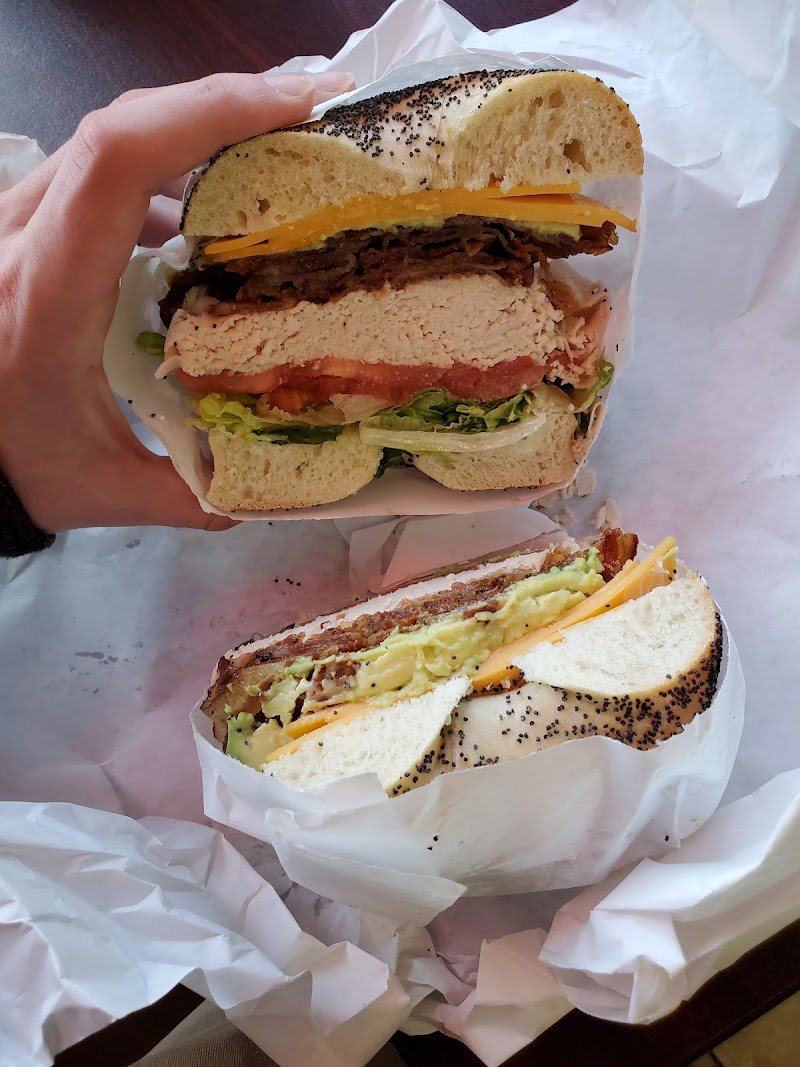 Bagels 101 photo 3