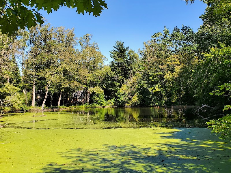 Bailey Arboretum County Park photo 3