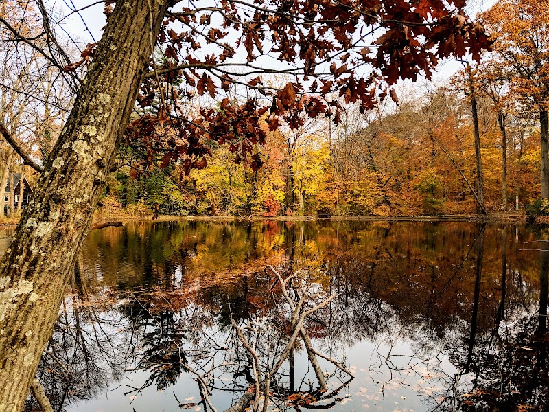 Bailey Arboretum County Park photo 4