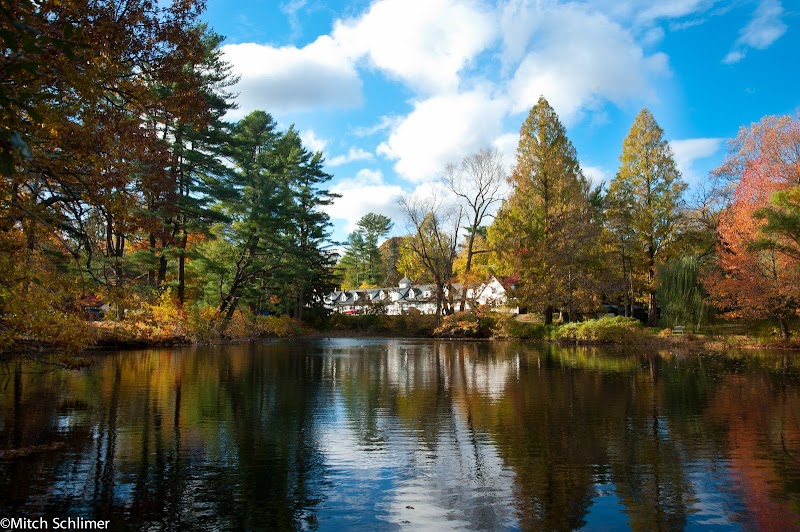 Bailey Arboretum photo 1