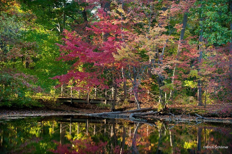 Bailey Arboretum photo 5