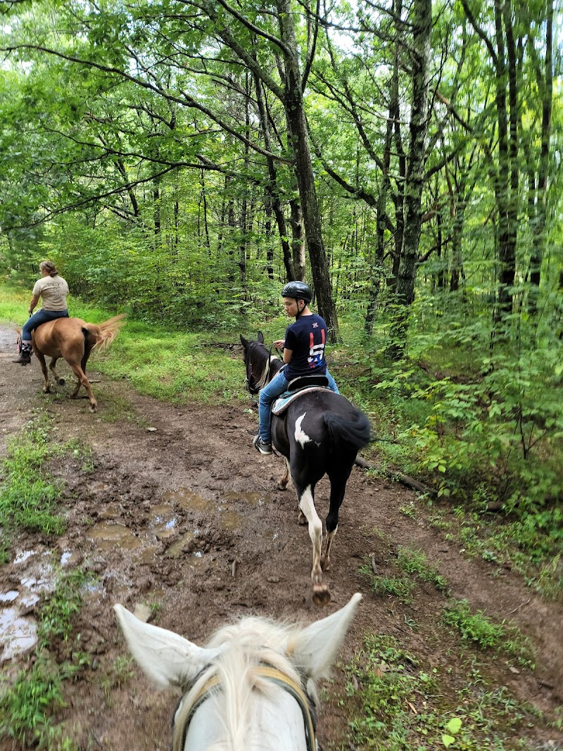 Bailiwick Animal Park and Riding Stables photo 3