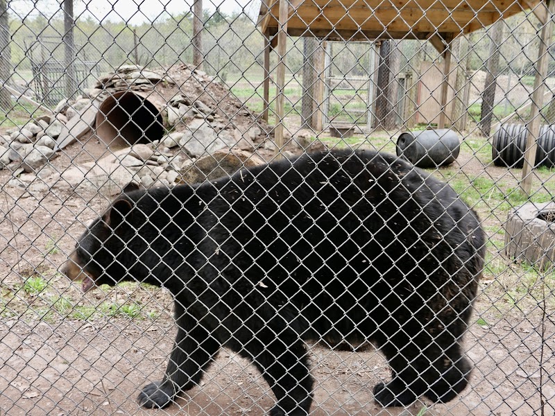 Bailiwick Animal Park and Riding Stables photo 4