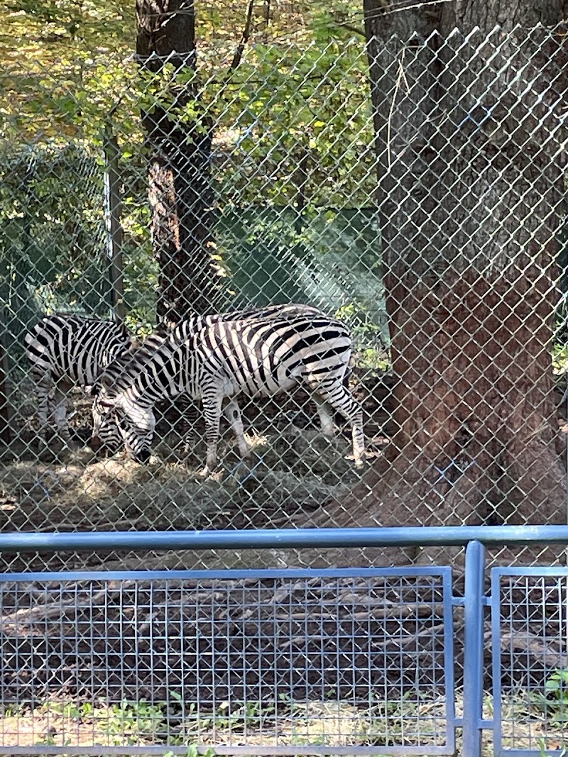 Bailiwick Animal Park and Riding Stables photo 5