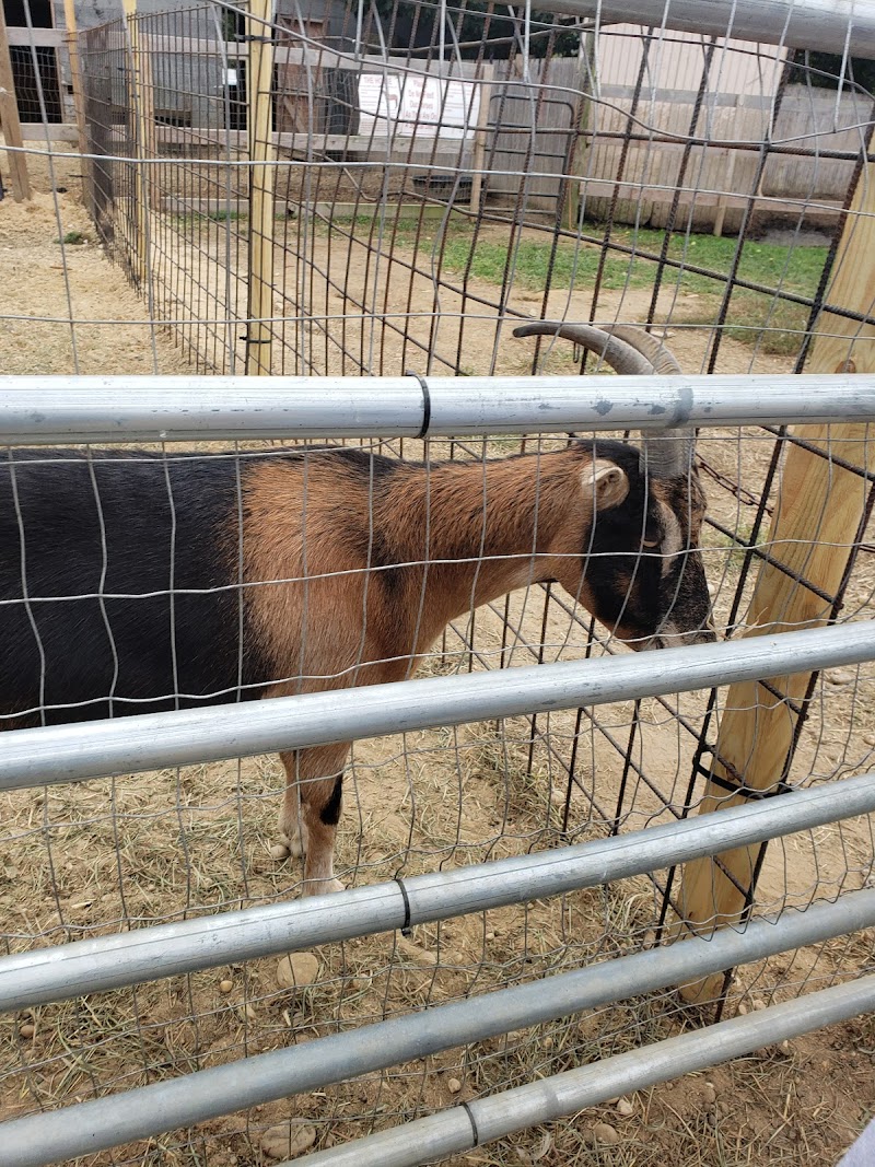 Bakewicz Farms photo 3
