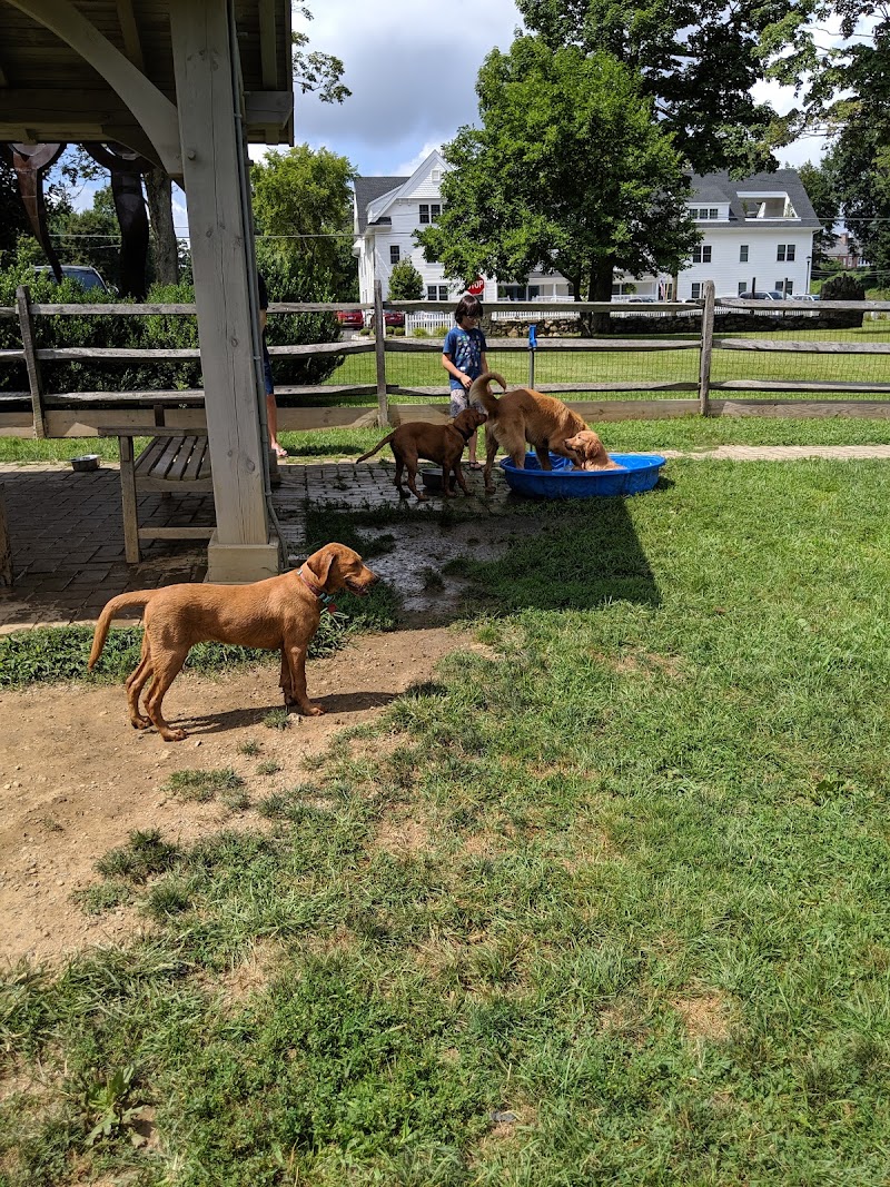 Bark Park Dog Park photo 2