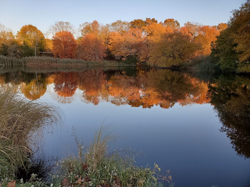 Bartlett Pond Park photo 2