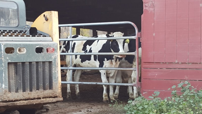 Battenkill Valley Creamery LLC photo 4