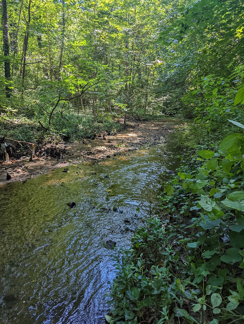 Baxter Pond Park photo 5