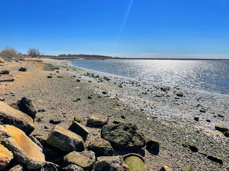 Bay Park photo 1